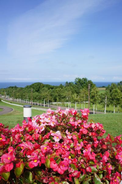 レンタカーで行く食倒れ北海道（道南）の旅　２～大沼・登別編～