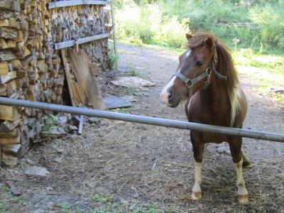 一泊二日、温泉三昧②(乗鞍温泉・白骨温泉)。