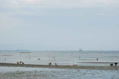 ドライブついでに潮干狩り
