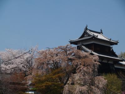 大和郡山城