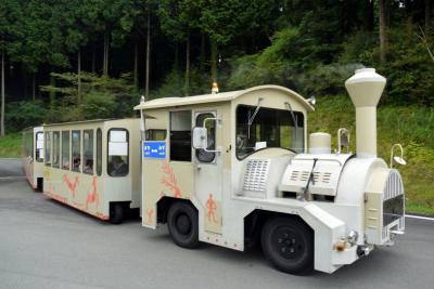 ０２．子供のお友達と行く富士山こどもの国　街のレストランの昼食　こどもホール　こどもの国列車　草原の国　忠ちゃん牧場