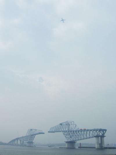 自転車でウロウロ…建設中のスカイツリー&東京港臨海大橋を見物してきました③