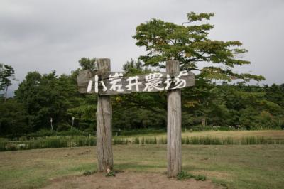 東北の旅　四日間　岩手県