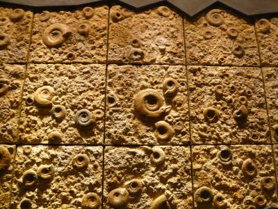 神奈川県立生命の星・地球博物館