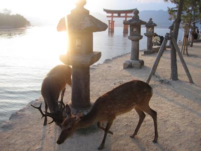 砂とベーコンと私～♪の旅４