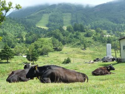 長野の旅②　～山田牧場～