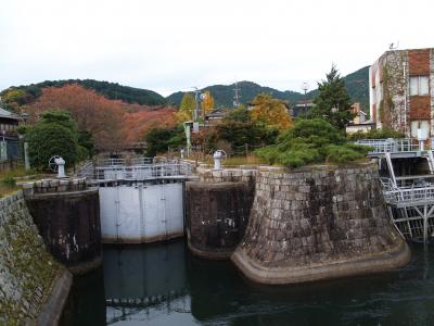 琵琶湖疎水の紅葉
