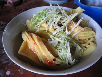 2010年8月-9月　ありがとうがいっぱい♪東南アジア７ヵ国 30日間の旅　（5日目・ミャンマー・バガン→インレー湖編）