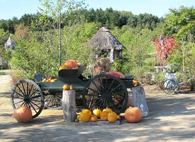 えこりん村 2010・秋の銀河庭園&アルパカ