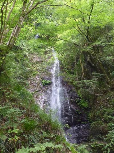 日本の滝百選 払沢の滝（子連れ１day trip）