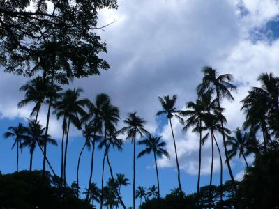 2010年9月ちょっと遅めの夏休みinHawaii!!! アクティビティ編