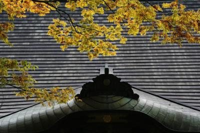 「成田山新勝寺散歩」～今年は紅葉きれいでしょうか