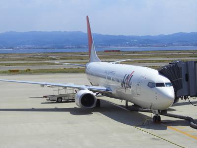 Flight Travel JAL174 KIX-HND JEX B737-800 』関西空港・泉佐野(大阪