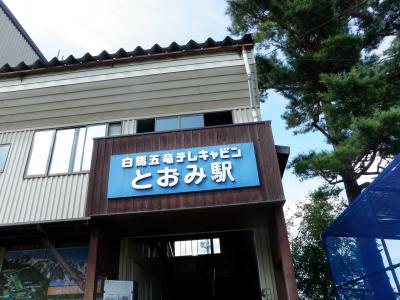 2010年　白馬五竜高山植物園とアルプス平自然遊歩道