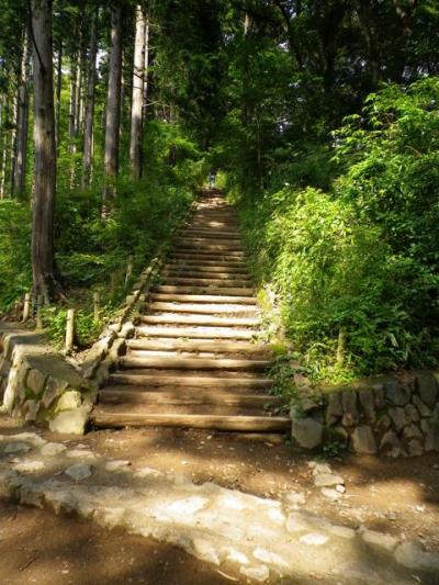 ハイキングもビールも楽しむ！　～初めての高尾山～
