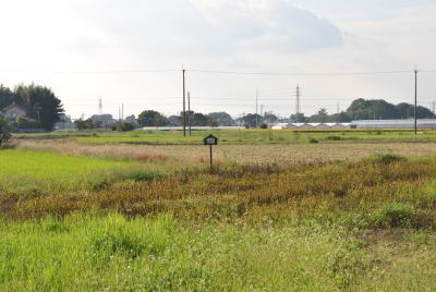 日本でここだけ。　　軽装、サンダル履きで行かれる３県境。