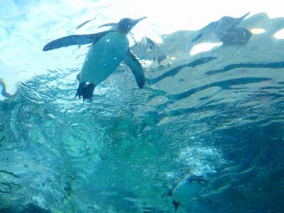 日本は広いぞ北海道③～旭川