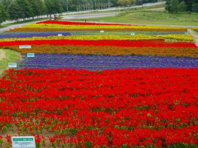 日本は広いぞ北海道④～網走