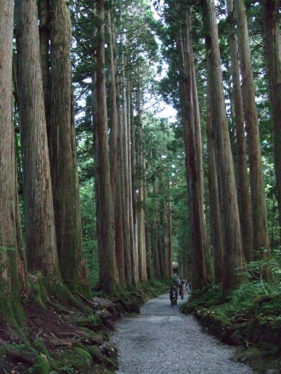 パワースポット　戸隠古道