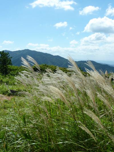 初めての登山は（楽しい）＞（辛い）でした　　葛城山　＜奈良県御所市＞