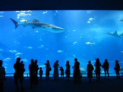 9月の沖縄はやっぱり賭けでしょ！