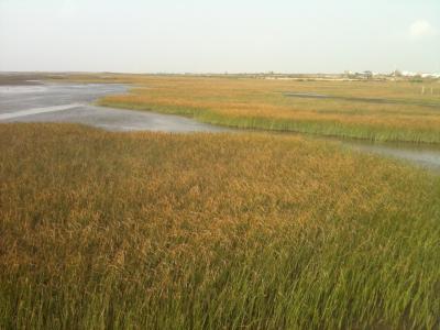 台湾滞在記。 ~台中港周辺編~