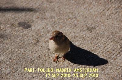 【欧州一人旅6日間＋α】その②：パリ１日目