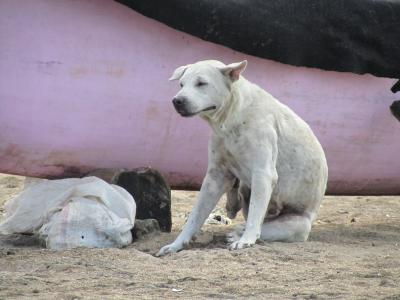 初めてのバリ島と2回目の台北旅行②