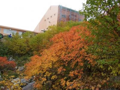 2010.10.05千畳敷カール(紅葉）