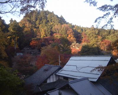 談山(たんざん)神社　紅葉狩