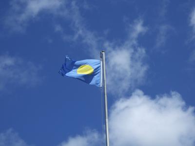 のんびりパラオ