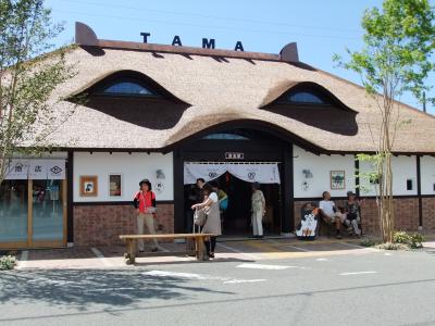 たまの新駅舎を見よう！