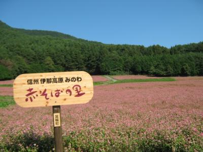 赤蕎麦（高峰ルビー）の里を訊ねて