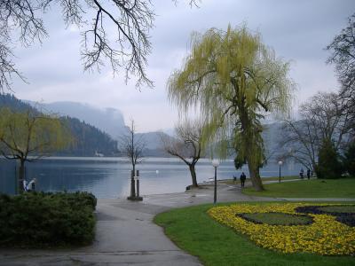 久々のヨーロッパ。雨に煙るブレッド湖
