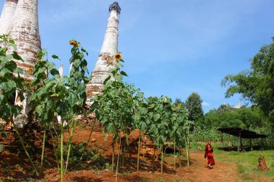 2010年10月【ミャンマー・インレー湖】