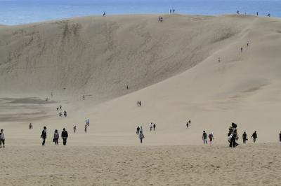 【鳥取観光】 ちょっとだけ下見　「鳥取砂丘」