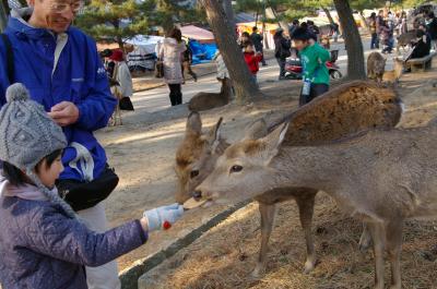 奈良公園２０１０