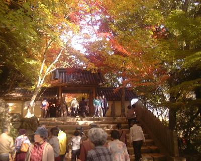 紅葉名所　永源寺