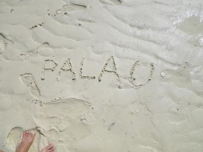 癒しのパラオ　②～クラゲからさよならパーティー～