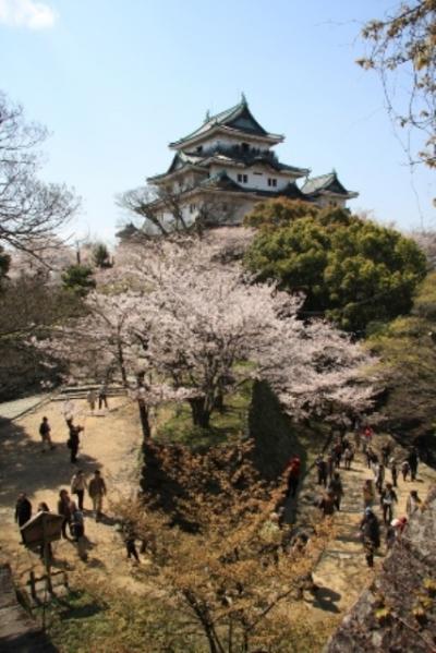 和歌山城　　かつては姫路城に次いで国宝に指定された程の名城！