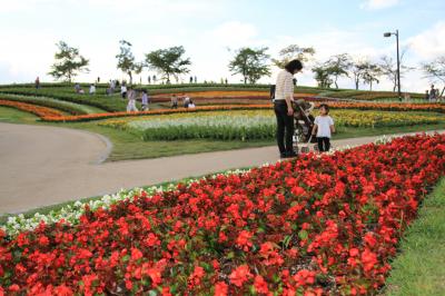 古代ロマンあふれる公園で、色とりどりの花に出会う　「馬見丘陵公園」