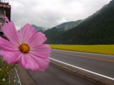 雨の里山は、もはやすっかり秋でした！