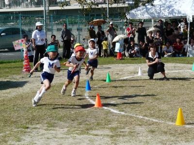 今、秋たけなわ、運動会シーズンです。
