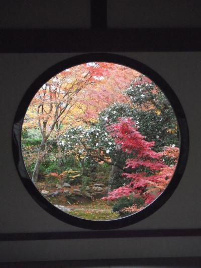 京都の紅葉をチャリで巡る０９年版⑥鷹ヶ峰