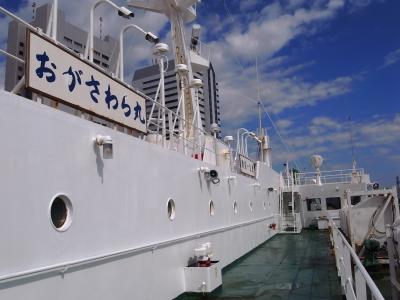 2010 OCT　小笠原　ボニンブルーの海三昧！その１