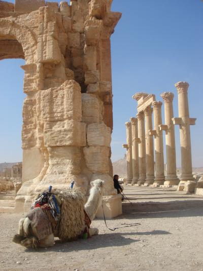 200703中東の旅　パルミラ（シリア）
