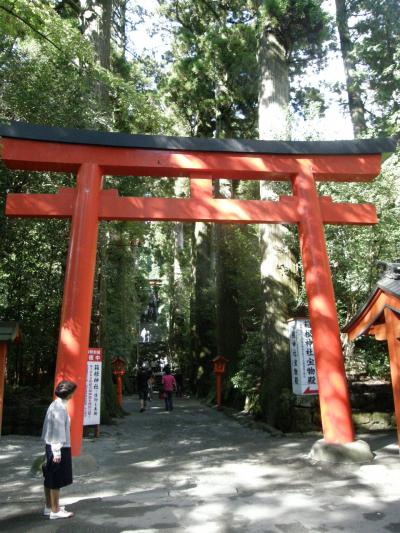 西伊豆堂ヶ島温泉1泊2日旅行 Part-6 (箱根編)