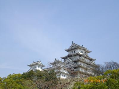 改修前の春の姫路城
