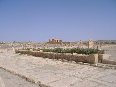 ツアーでチュニジア。ローマ遺跡スベイトラ