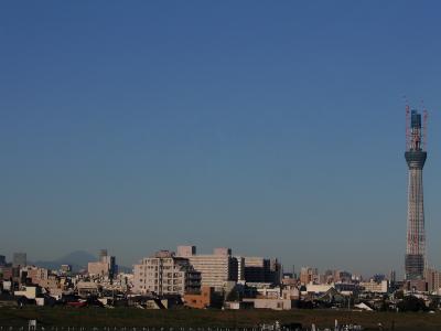 富士山を求めて早朝の東京スカイツリーを見る（撮影：２０１０年１０月３日早朝、１１日富士山）、東京スカイツリーの巻